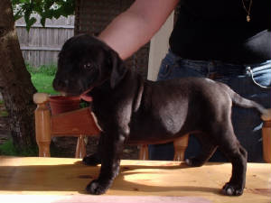 babymaggie2.jpg